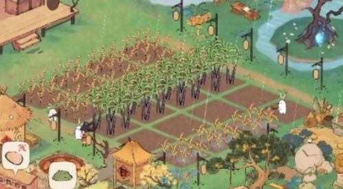 桃源深处有人家暮雨繁露玩法攻略