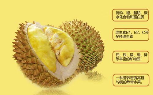 榴莲处理技巧大揭秘