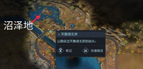 黎明觉醒露营地藏宝图寻宝点位置揭秘