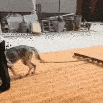 别惹农夫解锁白素贞皮肤攻略