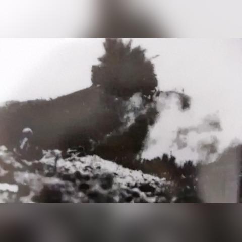 保卫萝卜4饿龙传说第5关攻略