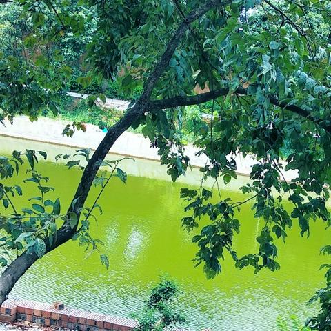 保卫萝卜4饿龙传说第1关通关技巧