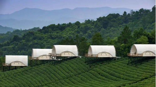 箱庭小偶娃娃命名技巧揭秘