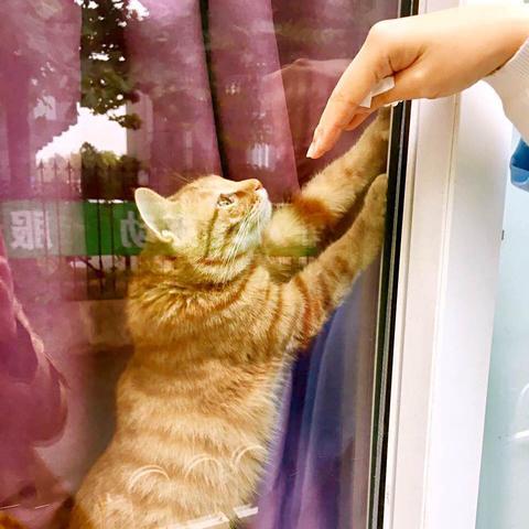 《通关攻略：文字成精十匹马过卡技巧》