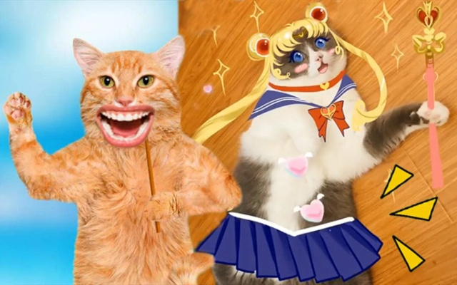 遇见猫咪变人术：变身条件及方法揭秘