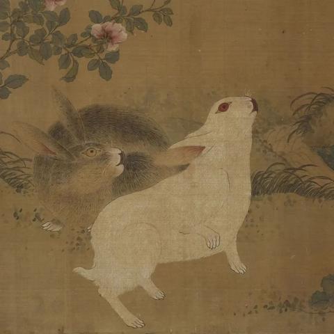 一念逍遥灵兔观星新灵兽获取秘籍