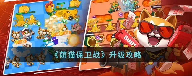 萌猫保卫战金币获取攻略 资源收集技巧