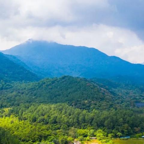 长安幻想雷公打书培养攻略