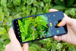 256G容量是否足够？Switch 2独家新作容量大揭秘！