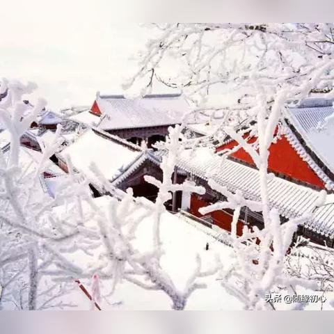 长安幻想雷小兽宠物攻略