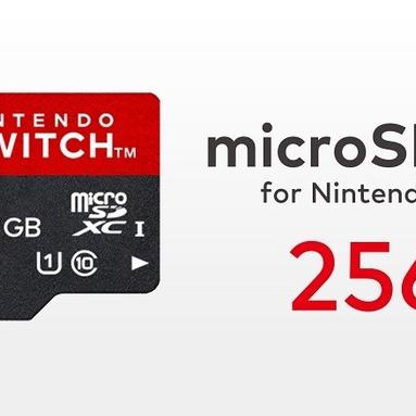 Switch 2 256GB内存：满足玩家主流需求
