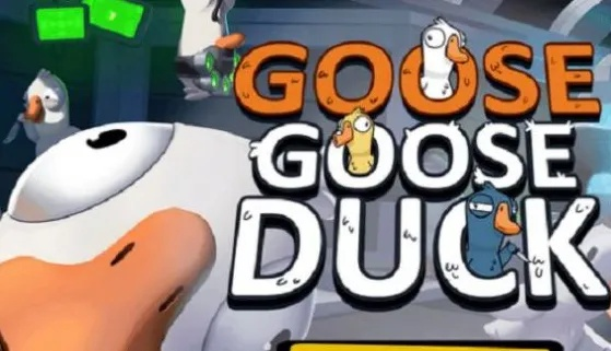 太空鹅鸭杀鹈鹕玩法攻略