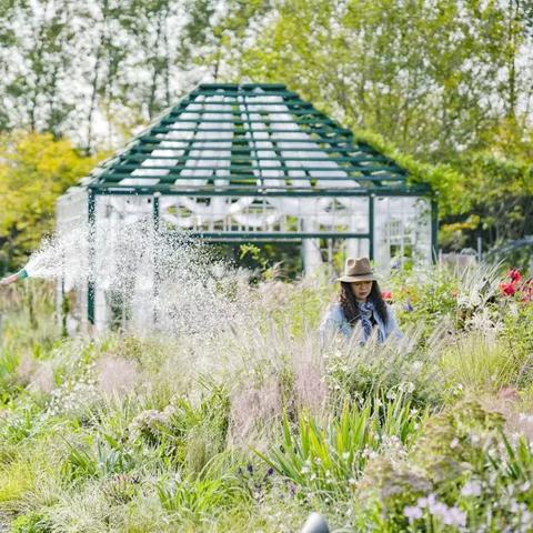 太空鹅鸭杀杀手玩法攻略