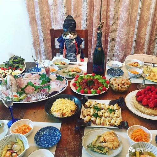 猫咪公寓2喵小厨餐厅美食推荐，后山食材采购攻略