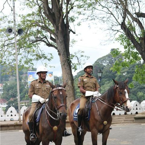 暖雪猛虎印解锁攻略 圣物获取技巧