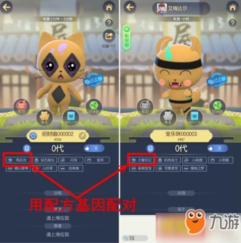 猫咪公寓2变异果获取攻略