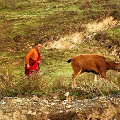 基于暖雪之恨，圣物功效揭秘