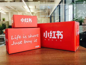 《云族裔》X小红书联名启动！独家道具免费派送