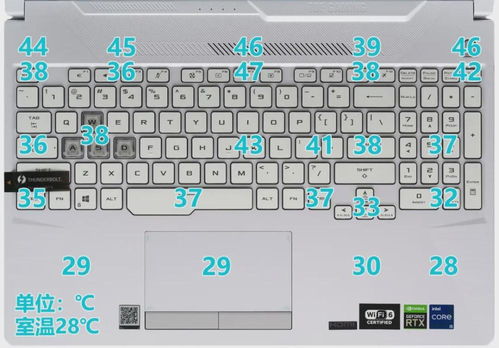 猫咪公寓2亲家挑选指南