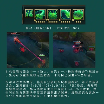 《无限扎克周边搭配指南 游戏攻略核心》