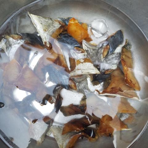 咸鱼之王爬塔阵容搭配攻略：万能咸将塔阵容推荐