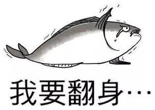 咸鱼之王鱼灵月尾适用人群及搭配攻略