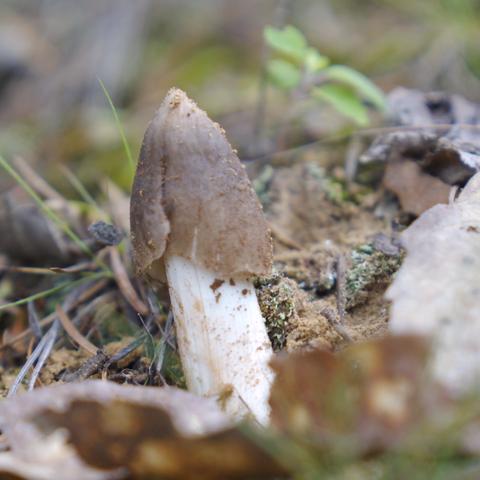 黎明之海宝藏寻宝攻略