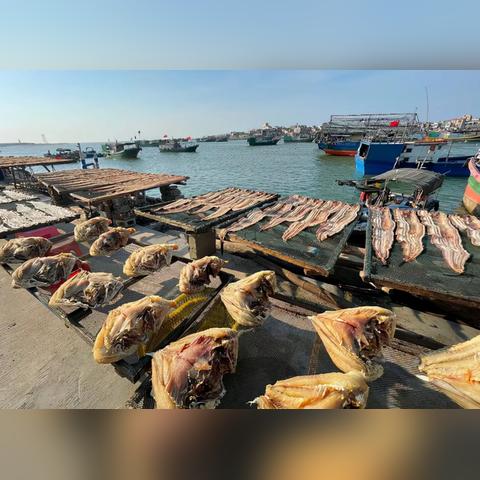 咸鱼之王红鱼钓法：高概率玄学技巧揭秘