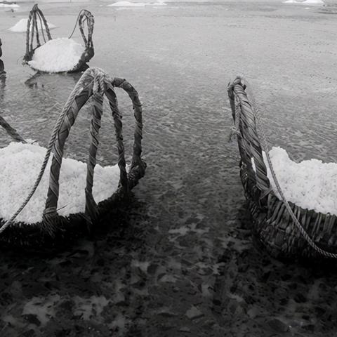 咸鱼之王：祖传大饼阵容搭配攻略，吴国阵容秘籍