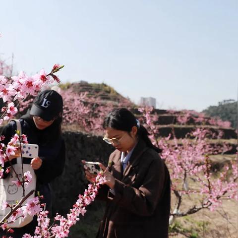 桃源记村庄升级指南：村庄提升攻略
