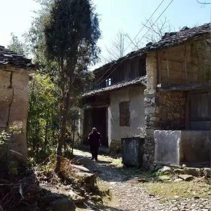 桃源记食物获取方法详解