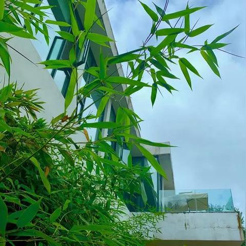 桃源记前期发展攻略核心玩法