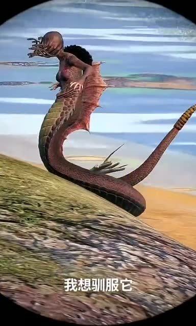 流浪方舟美杜莎核心配件选购指南