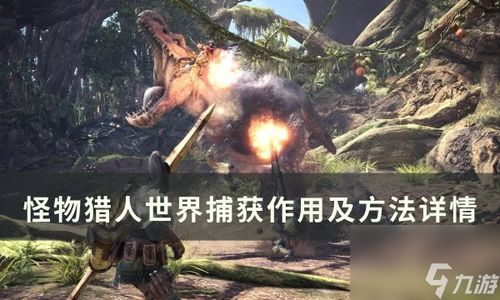 狩猎时刻松菇山猪攻略：怪物击杀技巧