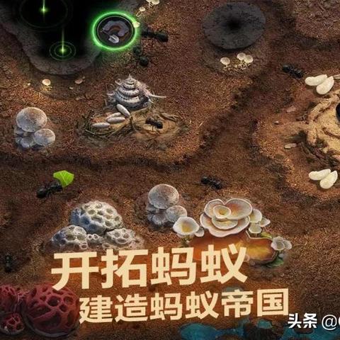 小小蚁国野怪出征攻略