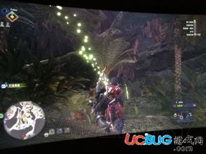 狩猎时刻异火狮鹫攻略：怪物击杀技巧