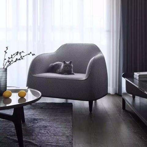 猫之城猫咪养成秘籍：完美搭配攻略