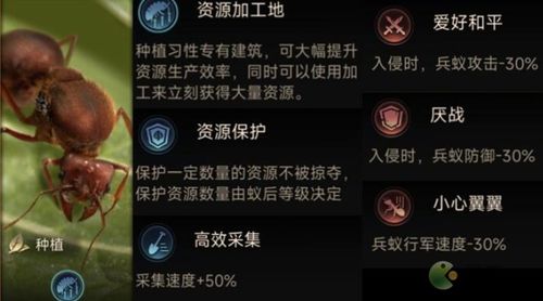 小小蚁国平民玩法攻略分享