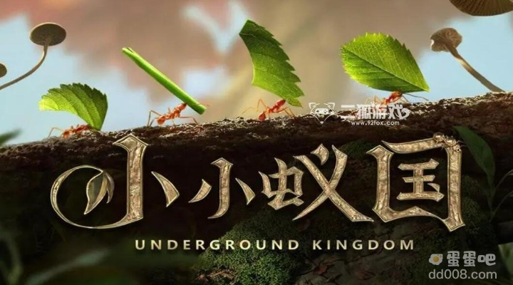 小小蚁国换区攻略：转区方法详解