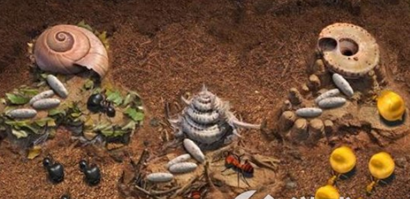 小小蚁国兵种孵化揭秘：孵化兵蚁方法全解析