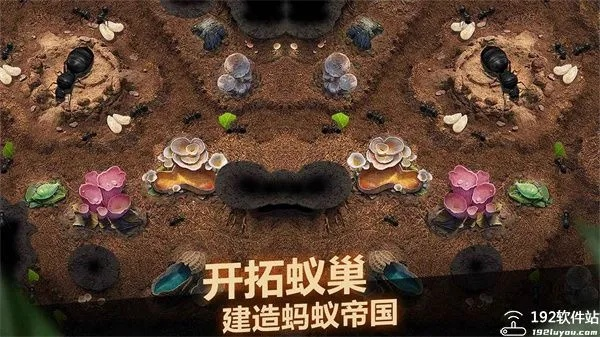 小小蚁国加盟联盟优势盘点