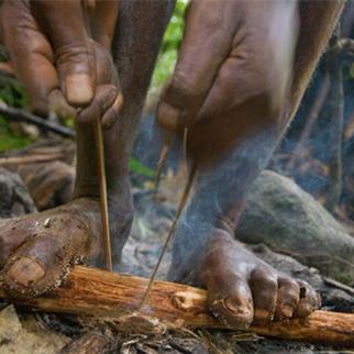 狩猎时刻射箭玩法攻略