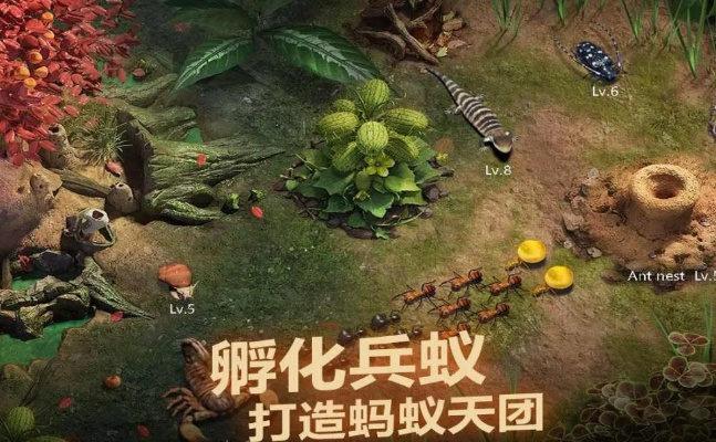 小小蚁国新手攻略：开局初期玩法思路