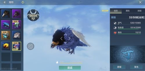 吉光片羽碎片获取攻略