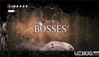 空洞骑士：丝之歌定价非80刀，誓达120美元！