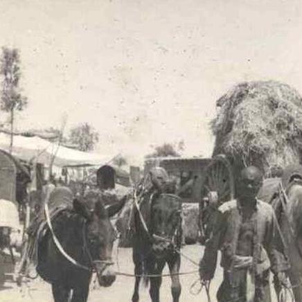 天地棋局跨服首秀！第二赛季玩法攻略