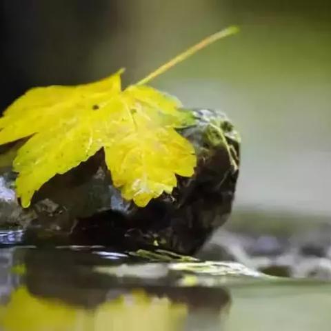 阴阳锅第二章攻略分享：通关秘籍大揭秘