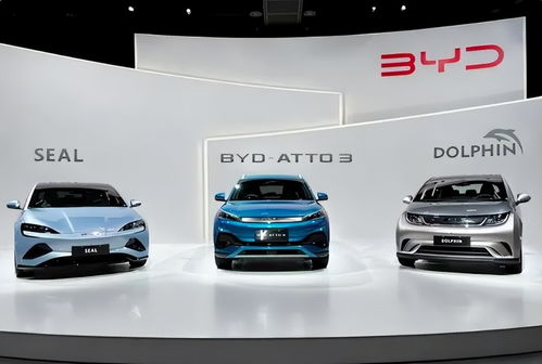 甲亢哥深圳行：试驾比亚迪两栖车 热购3台华为折叠屏