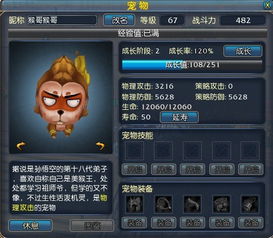 再战宠物攻略：揭秘出战技巧