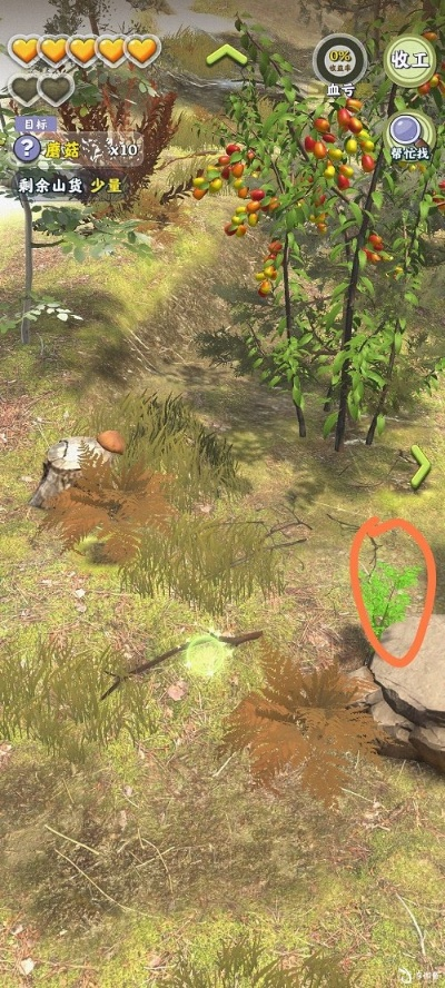 夺笋高手彩蛋攻略：揭秘隐藏彩蛋图鉴